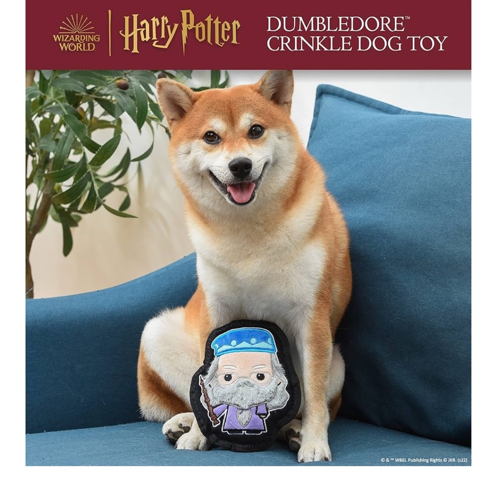 NEW Harry Potter 6" Dumbledore Crinkle Dog Toy